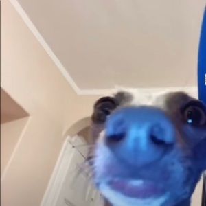 Meet your Posher, Janessa